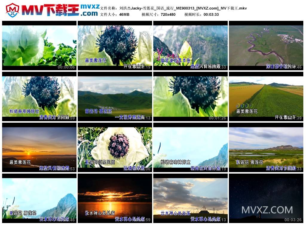 刘洪杰Jacky-雪莲花_国语_流行_ME900313